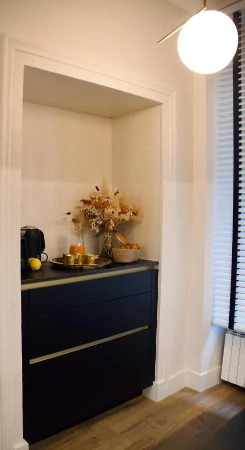 Exceptionnel! Luxueux Appartement 150 M2 Terrasse 40M2 Plein Centre 6Personnes Aix-les-Bains
